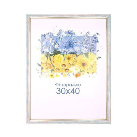 Фоторамка голуба 30х40 А3 з склом (пластиковий багет) 1713-401_30х40 фото
